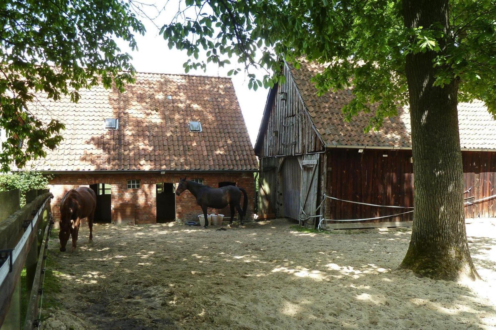 Ferienwohnung In Dorfmark Экстерьер фото