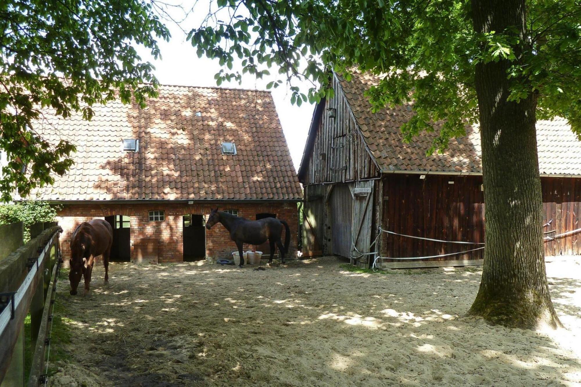Ferienwohnung In Dorfmark Экстерьер фото